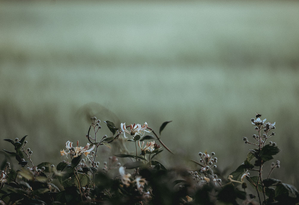 unsplash36-1-of-3 - FaithWorks Ministries